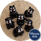 8025 - Black Cats - Small - 6 Pack